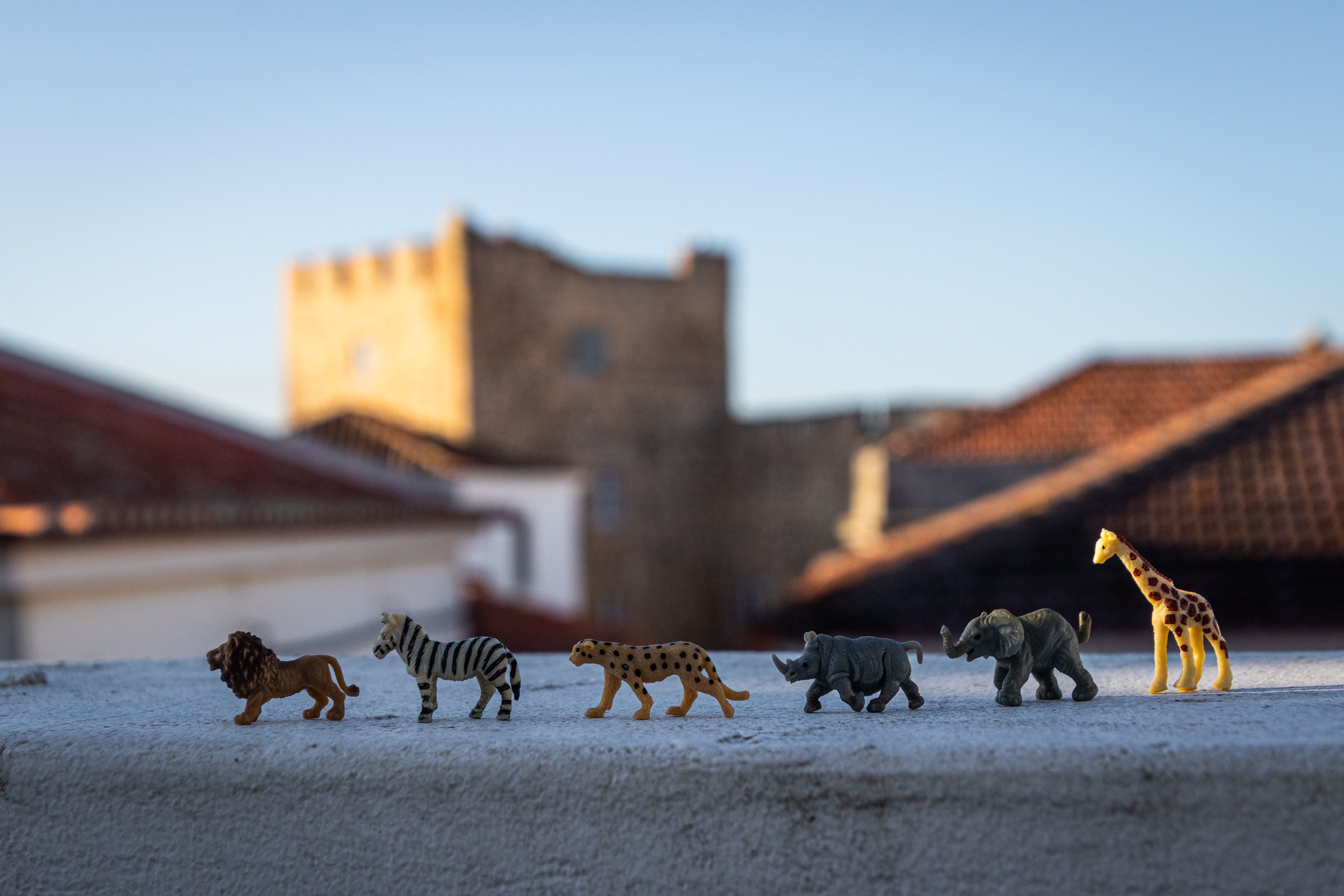 Animal figurines